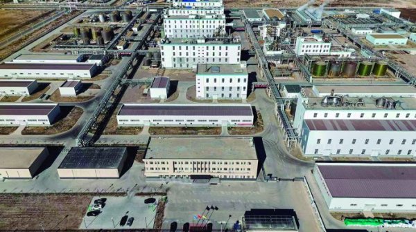 实盘配资炒股最新 “落地见效才算站稳脚跟” 锦鸡股份打造第二增长曲线